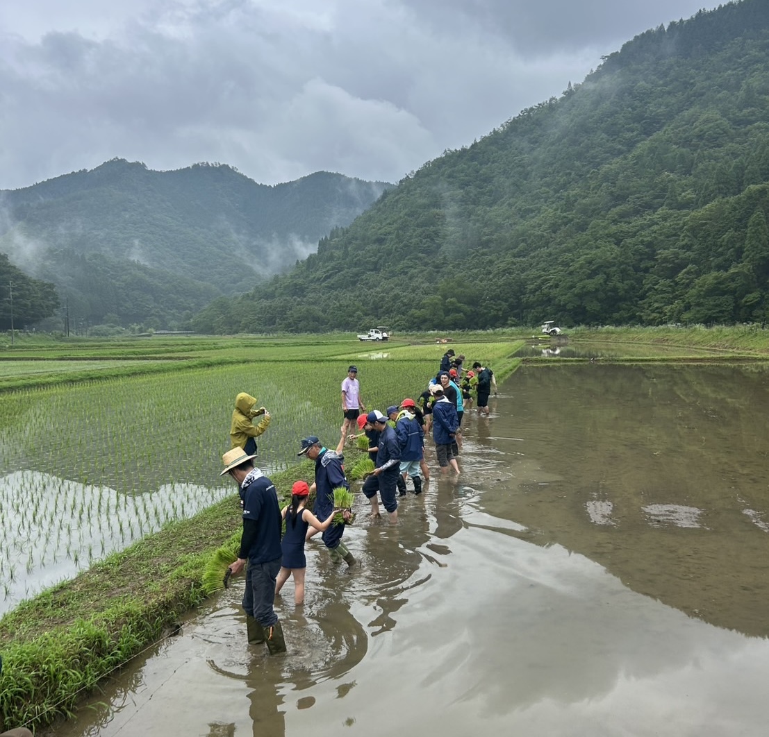 地域の小学生たちと田植え体験