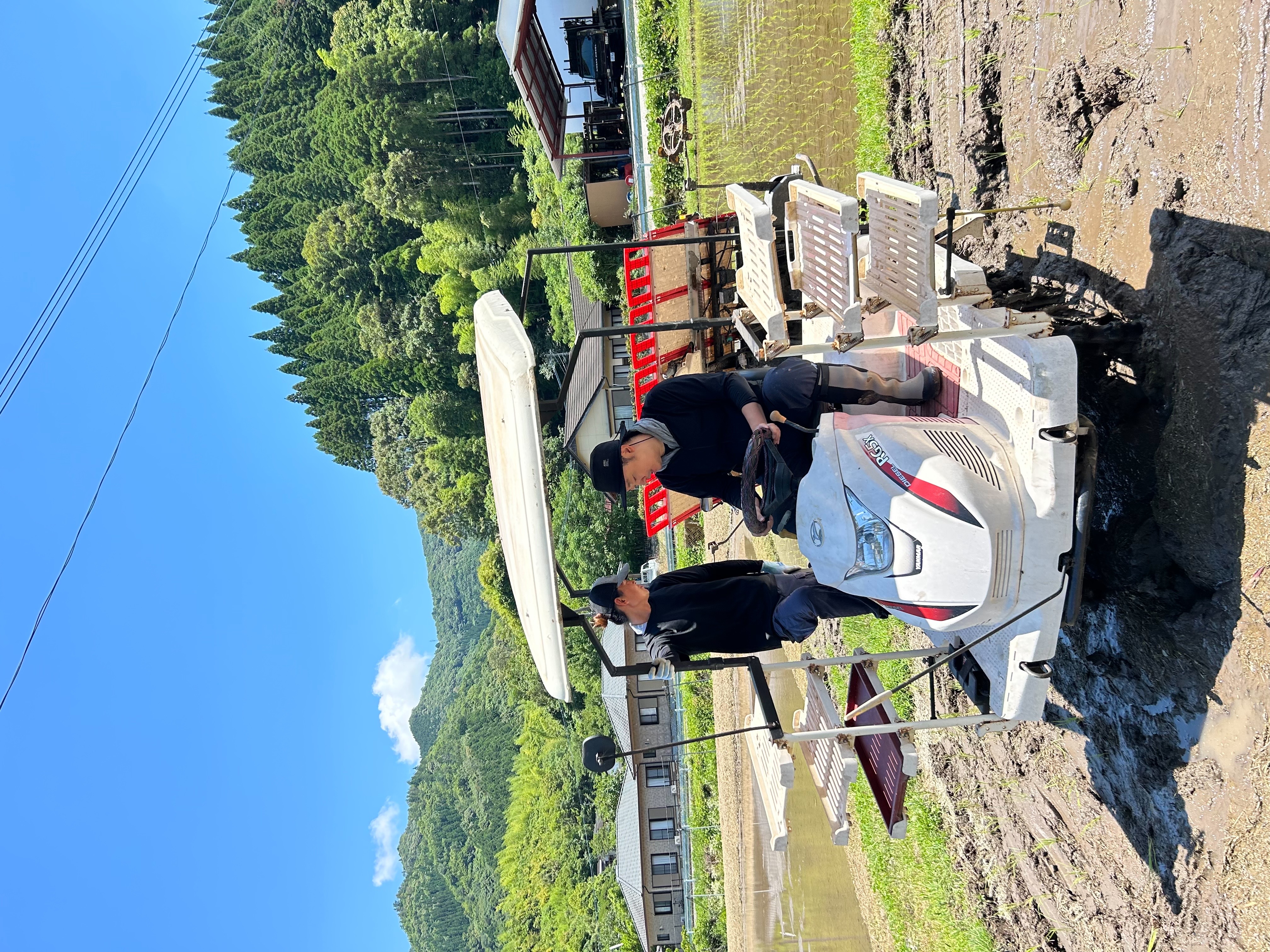 県外のお客様による田植え体験