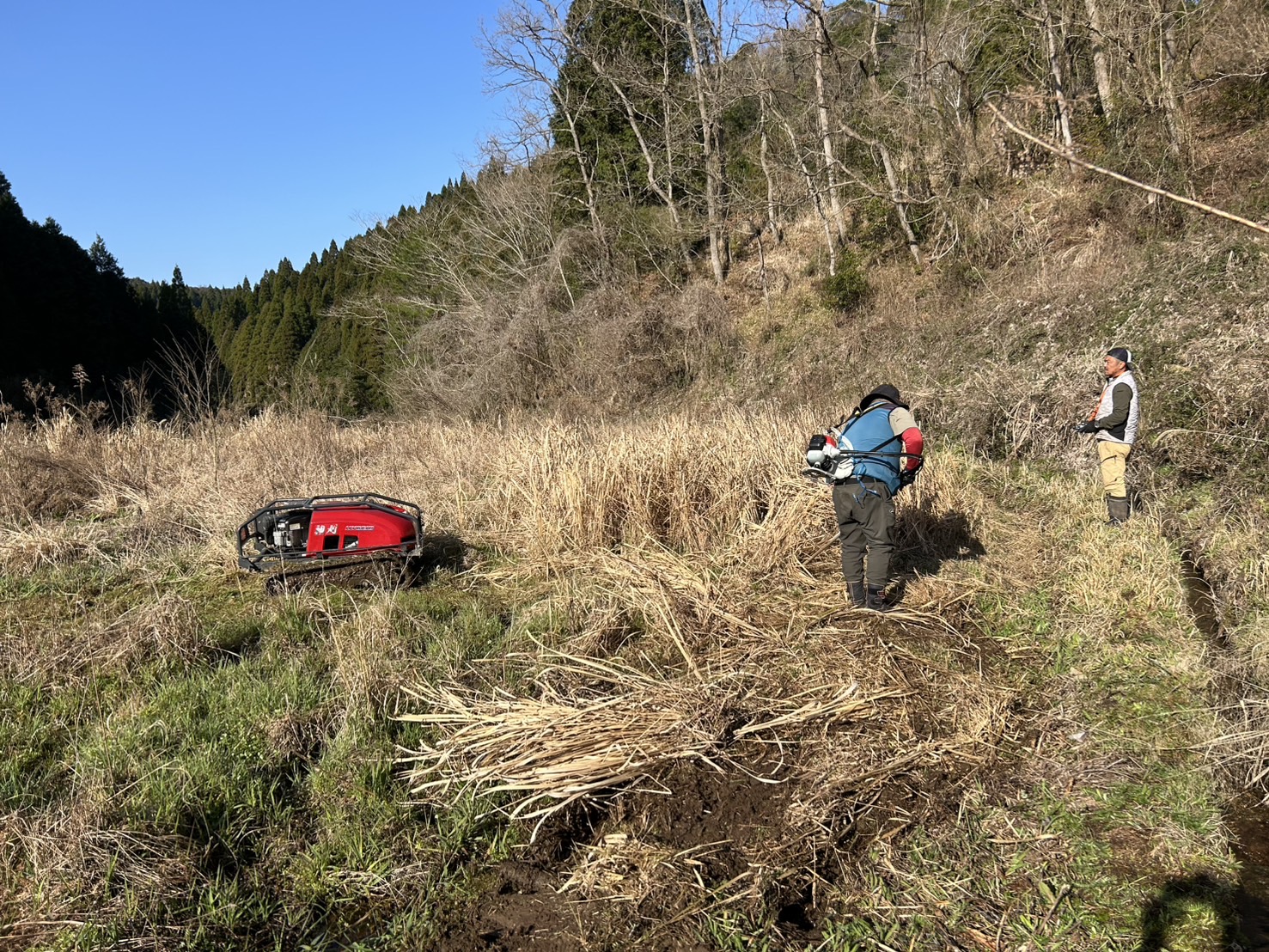 耕作放棄地の修繕作業